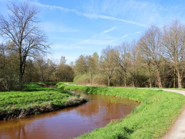 Westerlo, Belçika 'da bir yürüyüş rotası boyunca kıvrılan' Grote Nete 'nehri ile güzel bir manzara..