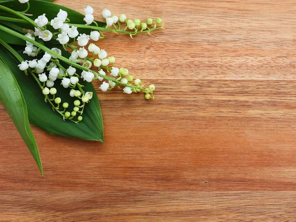 Lily of the valley isolated on a wooden background. Copy space .