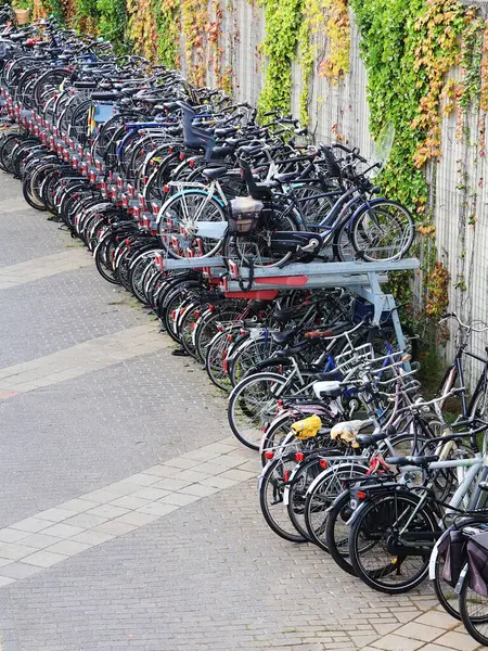 Bisikletleri üst üste park ediyorlar. Bisikletler için raf rafı.