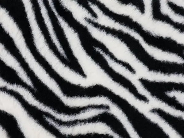 Zebra deseni. Siyah beyaz arkaplan.