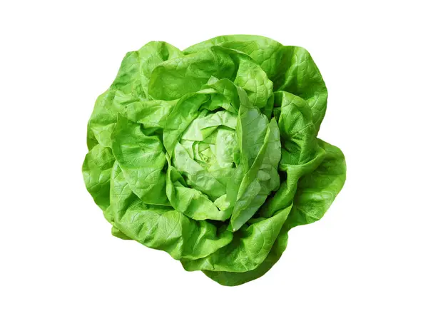 Taze marul, beyaz arka planda izole edilmiş. Üst görünüm.