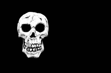 Kafatası, siyah bir arka planda izole edilmiş. Boşluğu kopyala.