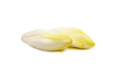 Beyaz arkaplanda taze hindiba var. Hindiba ya da hindiba veya Brüksel hindiba (Cichorium)).