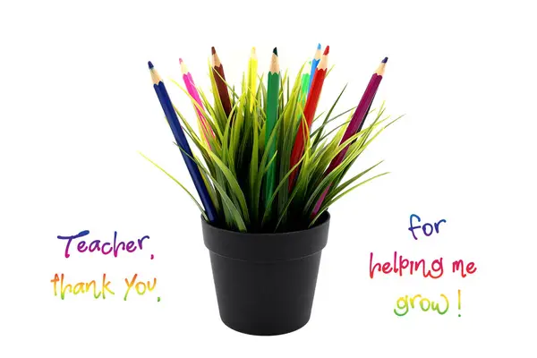 Beyaz arka planda izole edilmiş renkli kalemli bitki. Okul yılının sonundaki öğretmen için teşekkür kartı. Öğretmenim, büyümeme yardım ettiğiniz için teşekkür ederim.