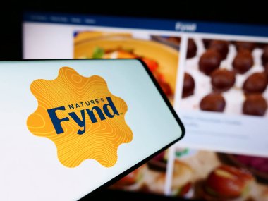 Stuttgart, Almanya - 05-14-2024: ABD 'li şirket The Fynder Group Inc. (Doğa Fynd)' in web sayfası ile logo önünde cep telefonu bulunduran kişi. Telefon ekranının merkezine odaklan.