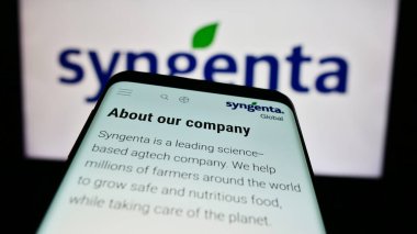 Stuttgart, Almanya - 06-24-2024: İşletme logosu önünde İsviçreli tarım teknolojisi şirketi Syngenta Crop Protection AG 'nin web sitesi ile akıllı telefon. Telefon ekranının sol üst kısmına odaklan.