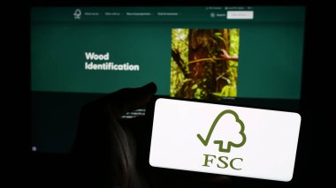 Stuttgart, Almanya - 06-26-2024: İnternet sayfası önünde üzerinde Orman Yönetimi Konseyi GmbH (FSC) logosu bulunan mobil pofon tutan kişi. Telefon ekranına odaklan.