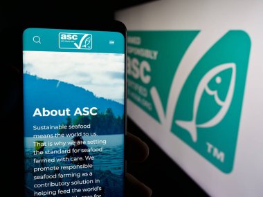 Stuttgart, Almanya - 07-01-2024: Logo önünde Aquaculture Stewardship Council (ASC) örgütünün web sayfası bulunan kişi. Telefon ekranının merkezine odaklan.