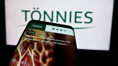 Stuttgart, Almanya - 08-01-2024: Alman Toennies şirketinin logosunu web sayfasının önünde tutan kişi. Telefon ekranına odaklan.