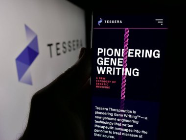 Stuttgart, Almanya - 10-23-2024: ABD 'li biyoteknoloji şirketi Tessera Therapeutics Inc.' in web sitesi ile cep telefonu tutan kişi logolu ekranda. Telefon ekranının merkezine odaklan.