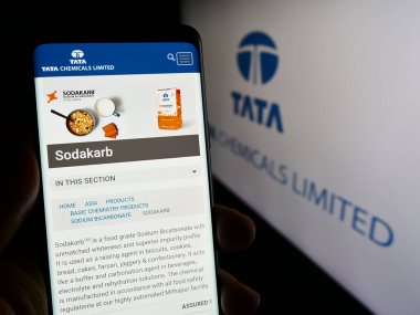 Stuttgart, Almanya - 03-05-2024: Hint kimya şirketi Tata Chemicals Limited 'in internet sayfası ile logo önünde cep telefonu tutan kişi. Telefon ekranının merkezine odaklan.