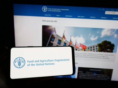 Stuttgart, Almanya - 07-11-2023: Web sitesi önünde üzerinde BM Gıda ve Tarım Örgütü (FAO) logosu bulunan akıllı telefon sahibi kişi. Telefon ekranına odaklan.