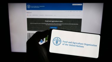 Stuttgart, Almanya - 07-11-2023: Web sayfası önünde BM Gıda ve Tarım Örgütü (FAO) logosu olan cep telefonu sahibi kişi. Telefon ekranına odaklan.