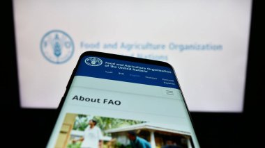 Stuttgart, Almanya - 07-11-2023: BM kuruluşu Gıda ve Tarım Örgütü 'nün (FAO) web sayfası logo önünde ekranda. Telefon ekranının sol üst kısmına odaklan.