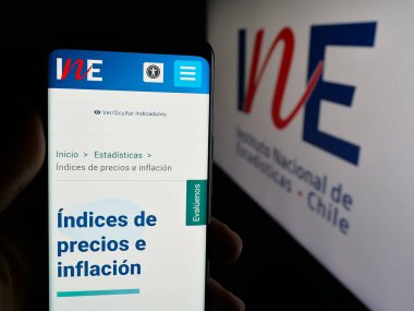 Stuttgart, Almanya - 11-25-2024: Instituto Nacional de Estadistica de Chile 'in (INE) internet sayfası logo ile ekranda. Telefon ekranının merkezine odaklan.
