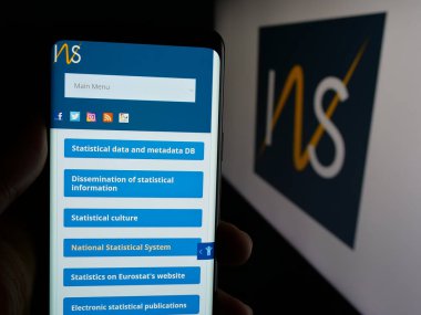 Stuttgart, Almanya - 11-25-2024: Romanya Ulusal İstatistik Enstitüsü 'nün (INS) web sitesi ile akıllı telefonu elinde tutan kişi logolu ekranda. Telefon ekranının merkezine odaklan.