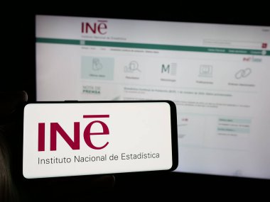 Stuttgart, Almanya - 11-21-2024: İnternet sitesi önünde ekranda İspanyol Instituto Nacional de Estadistica (INE) logosu bulunan kişi. Telefon ekranına odaklan.