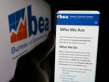Stuttgart, Almanya - 11-20-2024: İstatistik Dairesi Ekonomik Analiz Bürosu 'nun (BEA) web sayfası logolu akıllı telefonu elinde tutan kişi. Telefon ekranının merkezine odaklan.