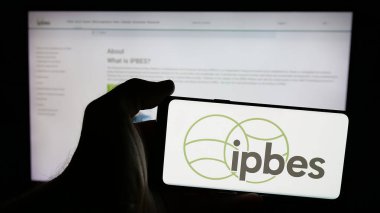 Stuttgart, Almanya - 03-07-2025: Hükümetler arası organizasyon logosu olan cep telefonu web sayfası önünde ekranda. Telefon ekranına odaklan.