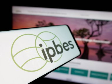 Stuttgart, Almanya - 03-07-2025: Hükümetler arası örgüt logosu olan akıllı telefon web sitesi önünde ekranda. Telefon ekranının merkez soluna odaklan.