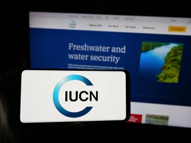 Stuttgart, Almanya - 03-12-2025: Uluslararası çevre örgütü IUCN logosuna sahip akıllı telefonu web sitesi önünde ekranda tutan kişi. Telefon ekranına odaklan.