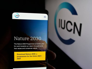 Stuttgart, Almanya - 03-12-2025: Uluslararası Çevre Örgütü IUCN 'nin logo önündeki web sayfası ile cep telefonu tutan kişi. Telefon ekranının merkezine odaklan.