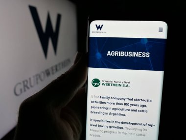 Stuttgart, Almanya - 03-24-2025: Arjantinli şirket Grupo Werthein 'in logosunun bulunduğu web sayfası ekranda. Telefon ekranının merkezine odaklan.