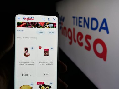 Stuttgart, Almanya - 04-01-2025: Uruguaylı perakende şirketi Tienda Inglesa 'nın logosunun bulunduğu web sayfası logosu ekranda. Telefon ekranının merkezine odaklan.