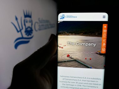 Stuttgart, Almanya - 04-03-2025: Aquafarming şirketi Salmones Camanchaca S.A. 'nın logosunun bulunduğu web sitesi logosu ekranda. Telefon ekranının merkezine odaklan.