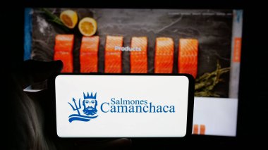 Stuttgart, Almanya - 04-03-2025: Aquafarming şirketi Salmones Camanchaca S.A. 'nın logosunun bulunduğu cep telefonu web sayfası önünde ekranda. Telefon ekranına odaklan.