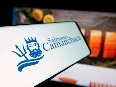 Stuttgart, Almanya - 04-03-2025: Aquafarming şirketi Salmones Camanchaca S.A. 'nın logosuna sahip akıllı telefon web sitesinin önünde ekranda. Telefon ekranının soluna odaklan.