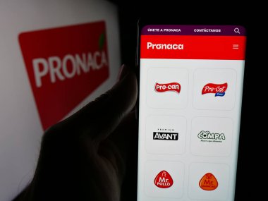 Stuttgart, Almanya - 04-09-2025: Ekvador 'lu gıda şirketi Pronaca' nın web sayfası ile cep telefonu tutan kişi logonun önünde ekranda. Telefon ekranının merkezine odaklan.