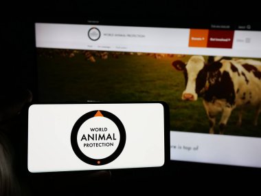 Stuttgart, Almanya - 04-17-2025: İnternet sitesi önünde ekranda, üzerinde Dünya Hayvanları Koruma Örgütü logosu bulunan akıllı telefon sahibi kişi. Telefon ekranına odaklan.