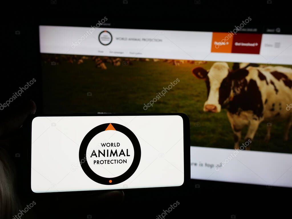 Stuttgart, Germany - 04-17-2025: Person holding smartphone with logo of British organisation World Animal Protection on screen in front of website. Focus on phone display.