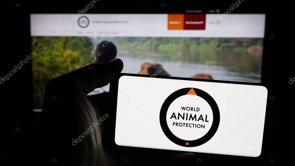 Stuttgart, Germany - 04-17-2025: Person holding mobile phone with logo of British organisation World Animal Protection on screen in front of web page. Focus on phone display.