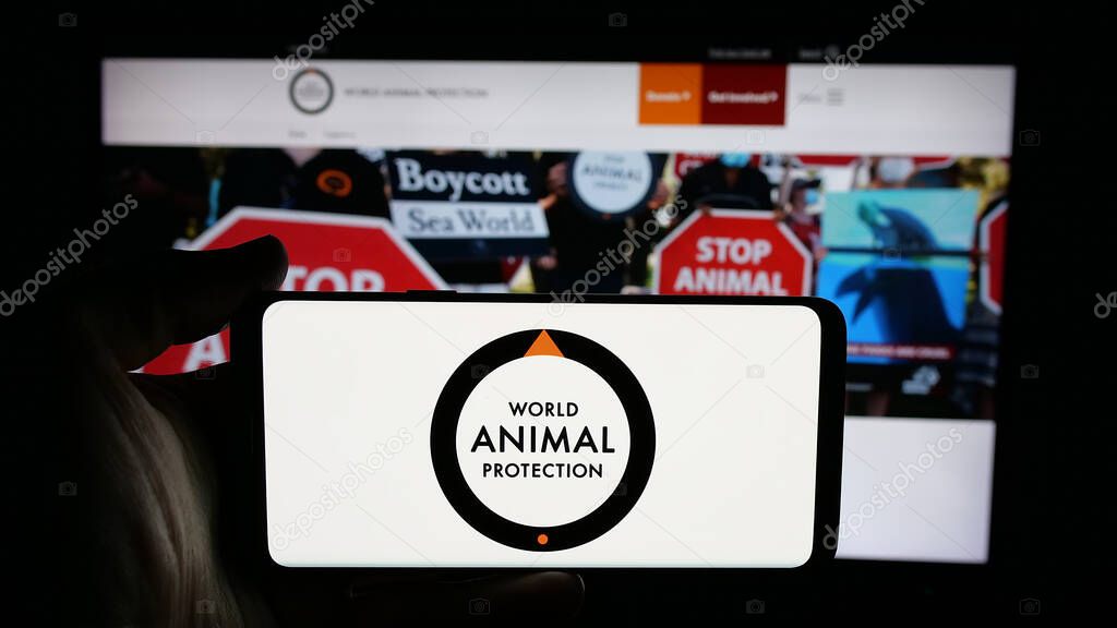 Stuttgart, Germany - 04-17-2025: Person holding cellphone with logo of British organisation World Animal Protection on screen in front of webpage. Focus on phone display.