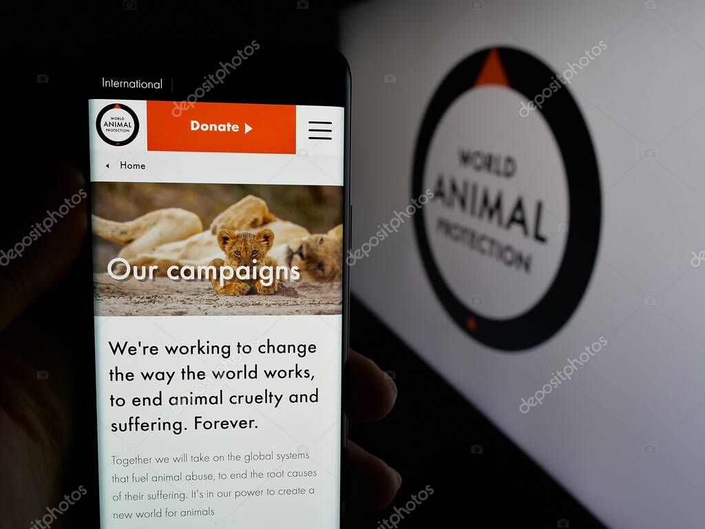 Stuttgart, Germany - 04-17-2025: Person holding cellphone with web page of British organisation World Animal Protection on screen in front of logo. Focus on center of phone display.