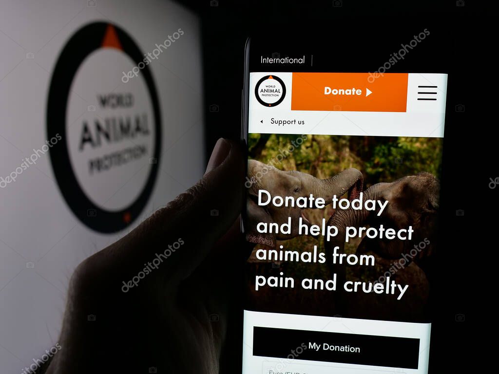 Stuttgart, Germany - 04-17-2025: Person holding smartphone with website of British organisation World Animal Protection on screen in front of logo. Focus on center of phone display.