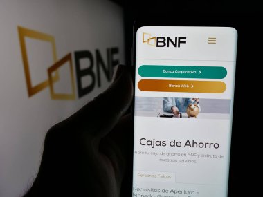 Stuttgart, Almanya - 05-04-2025: Logonun önünde Banco Nacional de Fomento (BNF) şirketinin web sitesi bulunan kişi. Telefon ekranının merkezine odaklan.