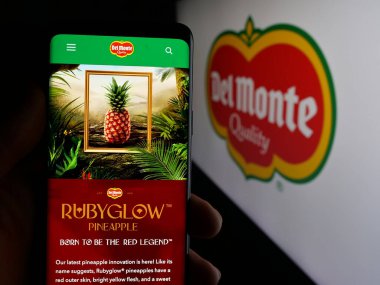 Stuttgart, Almanya - 05-31-2025: ABD Gıda şirketi Fresh Del Monte Produce Inc. 'in internet sayfası ile cep telefonu tutan kişi logonun önünde ekranda. Telefon ekranının merkezine odaklan.