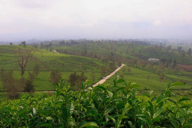 Güzel Manzaranın Ortasında Gizli Bir Yol