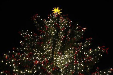 Işıklarla süslenmiş Noel ağacı ve en üstteki parlak sarı yıldızlar gece fotoğraflandı.