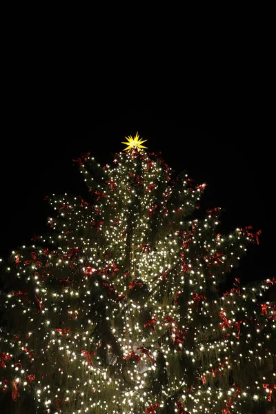 Vánoční Stromek Zdobený Světly Zářivými Žlutými Hvězdami Horním Centru Fotografované — Stock fotografie