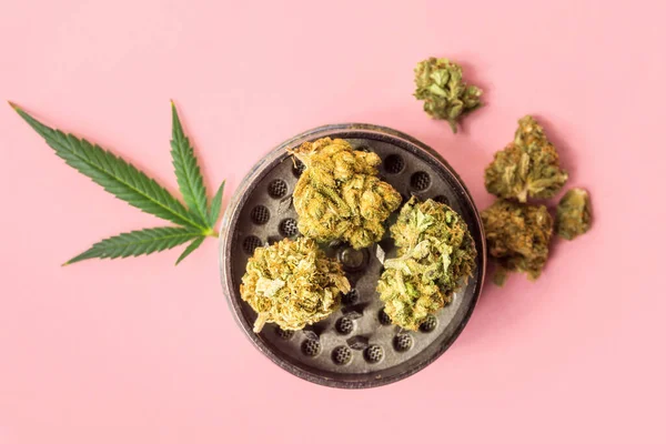Cannabis Flower Buds Medical Marihuana Folhas Moedor Sobre Fundo Rosa — Fotografia de Stock