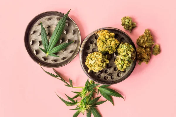 Esrar Tomurcukları Tıbbi Marihuana Yaprakları Öğütücü Pembe Arka Planda — Stok fotoğraf
