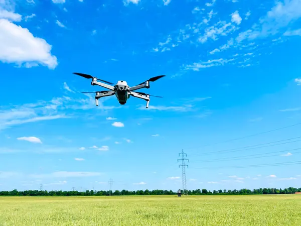 Drone hovering above wheat field, concept of using Drones in agriculture