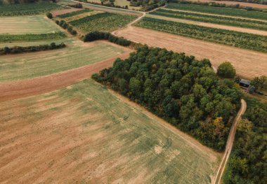 İnsansız hava aracı buğday tarlaları ve üzüm bağları olan tarım mahsulleri arazisine bakıyor