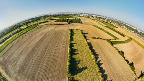 Fisheye Drone view down on agriculture crop land with wheat fields and Vineyards in Vienna