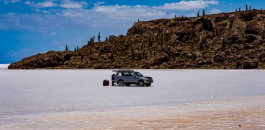 Uyuni, Bolivya, 01182023 - Kaktüsle kaplı kaya adaları Bolivya Tuz Düzlükleri 'nde çeşitli yerlerde bulunur..