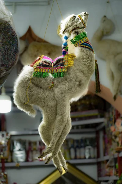 Llama Alpaca Fetuses Stillborn Sold Pharmacists Aka Witches Bolivian Traditional — Stock Photo, Image